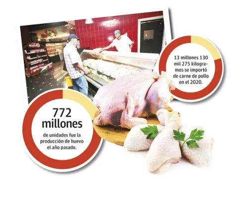 Bajo consumo impacta la producción de pollo en Panamá