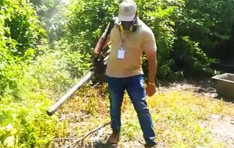 Se disparan los casos de dengue clásico en la provincia de Chiriquí