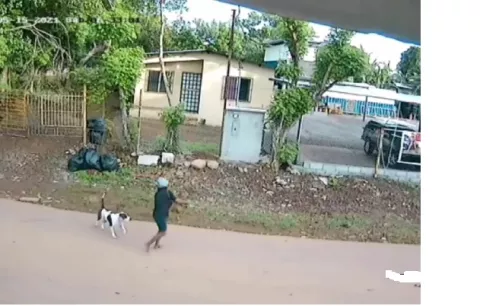 Dan de alta a la adulta mayor atacada por un canino en Chiriquí
