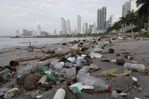 Limpian playa en la Cinta Costera para conmemorar Día Internacional de la Biodiversidad