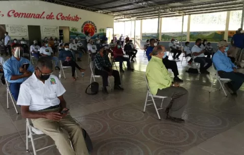Entregan ejemplares para mejorar hato bufalino en Coclesito