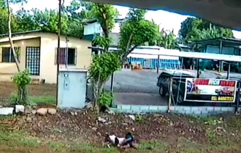 Anciana sufre múltiples heridas por el ataque de un perro en David