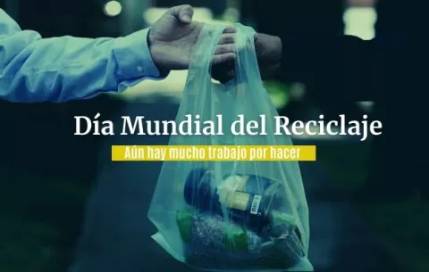 Día del reciclaje: ¿Qué impacto ha tenido en Panamá  la eliminación de las bolsas de plástico convencionales?