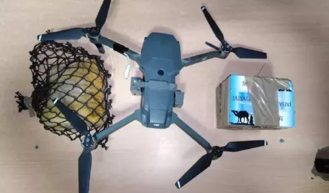 Entre drones y animales, reos intentan burlar la seguridad de las cárceles