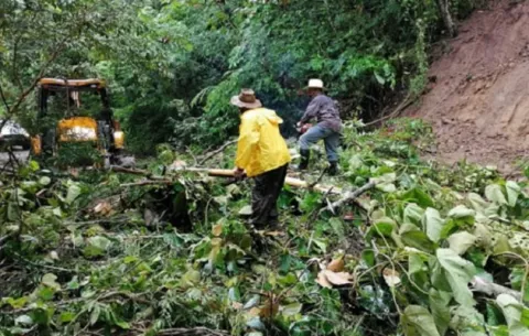Panamá se prepara para enfrentar los daños del Cambio Climático 