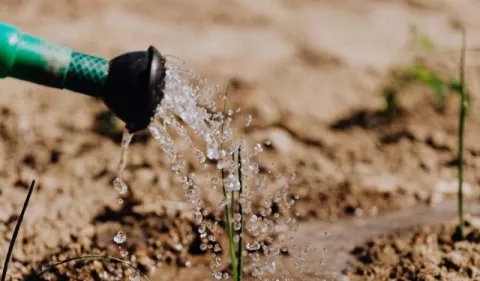 Metodología para evaluar daños y pérdidas por desastres naturales en el sector agropecuario