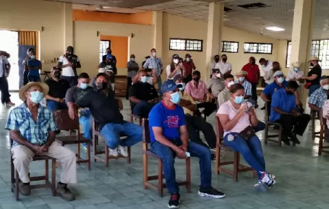 Productores de cebolla de Natá buscan un acercamiento con las autoridades agropecuarias