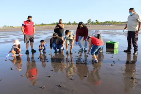 Liberan más de 31 mil neonatos de tortugas en el 2020 en playa La Barqueta
