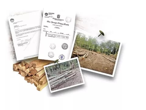 Notaría de Aguadulce señalada en otro fraude de tierras en la provincia de Colón