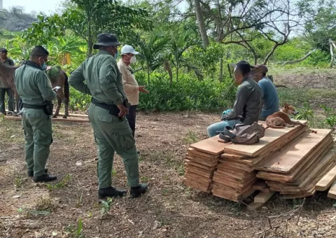 Sorprenden a ciudadano realizando tala ilegal en el sector de El Cruce de Capira