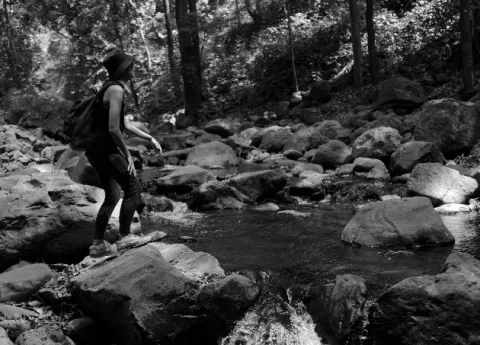Sobre el tiempo de la selva