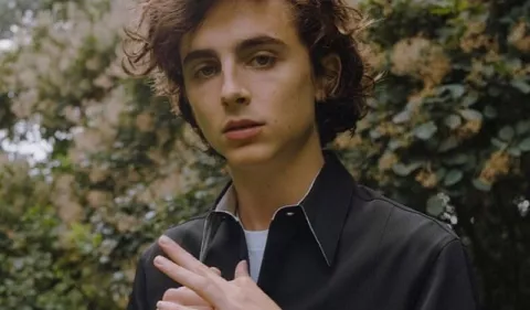 Timothée Chalamet dará vida a Willy Wonka