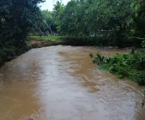 Se desbordan quebradas, vías obstruidas y árboles caídos durante fuertes lluvias en Bugaba