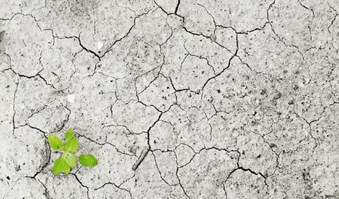 La ciencia y sus desafíos frente al cambio climático 