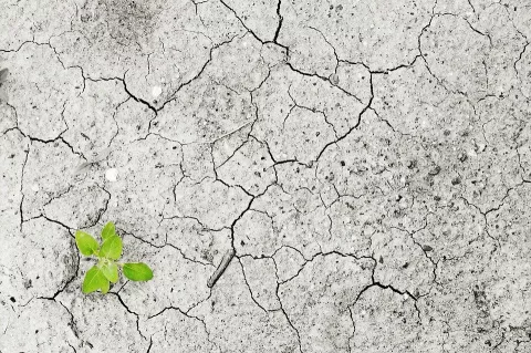 'Actúa ahora': Campaña destinada a la acción individual frente al cambio climático