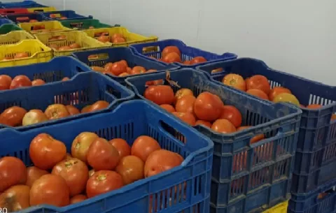 Aduanas decomisa 155 cajas de tomate de contrabando,  en Río Sereno
