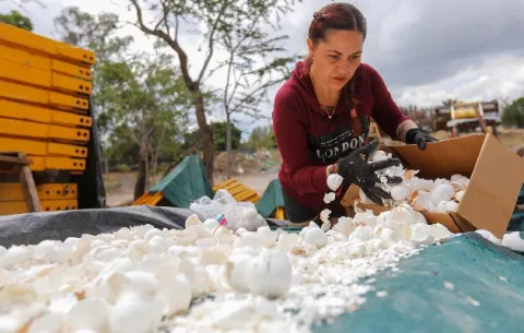 Limpian uno de los ríos más contaminados de México con cascarones de huevo