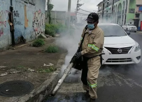 Nueve casos de dengue han sido detectados este año en Colón