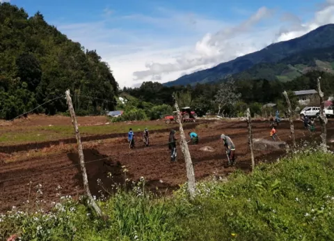 Consejo Nacional de la Juventud Ngäbe pide reintegro de trabajadores destituidos en Tierras Altas
