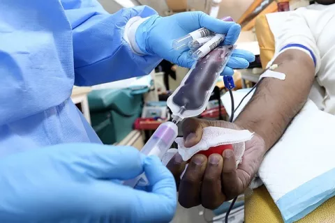 Día Mundial del Donante de Sangre: Mitos y realidades 