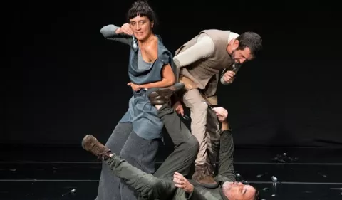 Festival Internacional de Artes Escénicas (FAE 21): Delegaciones y países que invitados