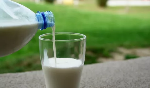 Consumo de leche: Nutrición para toda la vida