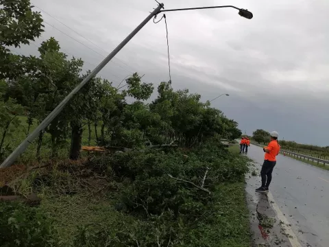 Mal tiempo derriba árboles y postes del tendido eléctrico en comunidades de Azuero