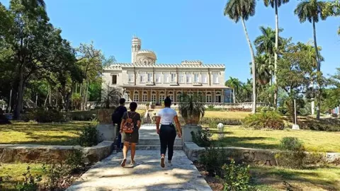 La 'excéntrica' cubana que revolucionó el estudio sobre los monos en el mundo