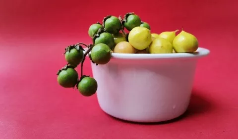 Pesada de nance, la mezcla perfecta entre dulzor y acidez 