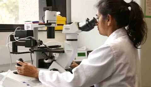 Encuentran la bacteria que causó la peste negra en un esqueleto de 5,000 años