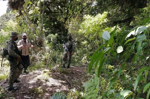 Parque Internacional La Amistad, en el lado Pacífico de Chiriquí, está en buen estado de conservación