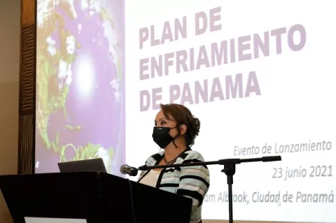Plan de Enfriamiento de Panamá, la herramienta para combatir el cambio climático y promover la eficiencia energética 