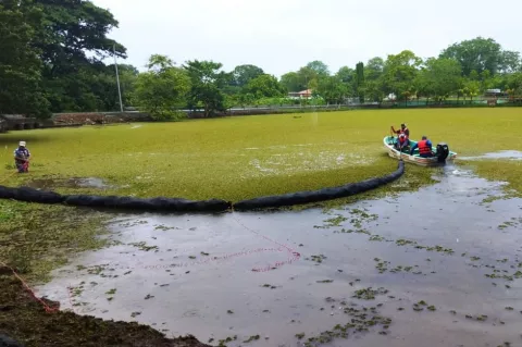 Retiran planta acuática invasora del lago de la Feria de San Sebastián de Ocú
