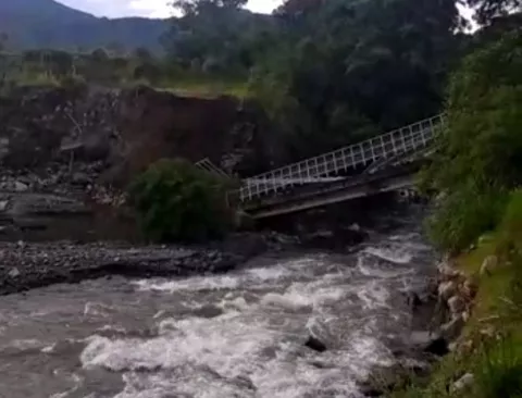 Más de 15 fincas de café están afectadas por colapso de puente artesanal en la Florentina, en Tierras Altas 