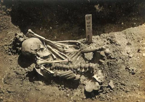 Un hombre muerto hace 3,000 años, la primera víctima conocida de un tiburón