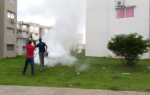 Autoridades de Arraiján toman medidas de desinfección para evitar una cuarentena por aumento de casos de covid-19