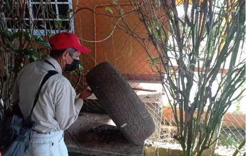 Minsa declara alerta en David y Barú por el aumento de casos de dengue clásico