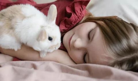 Conejos como mascotas: ¿Qué debo saber?