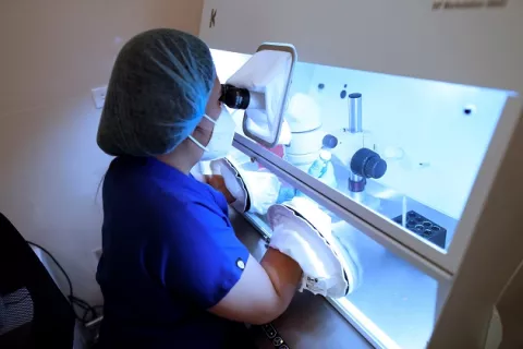 Fecundación in vitro, método de reproducción asistida más demandado en Panamá