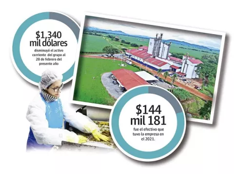 Grupo Calesa reporta pérdida por segundo año