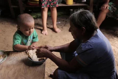 Hambre azota a Centroamérica en medio de la pandemia, advierte la FAO desde Panamá 