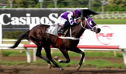 Laurentino López Valdés dejó la cancillería por el hipódromo y ahora espera llegar a EE.UU.
