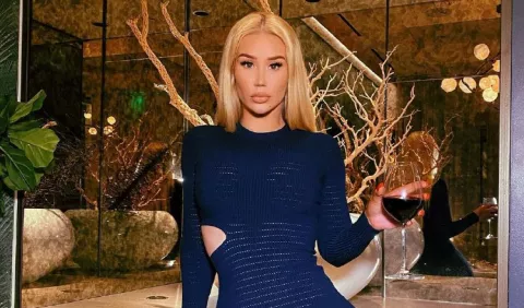 Iggy Azalea  no hará publicaciones de su hijo