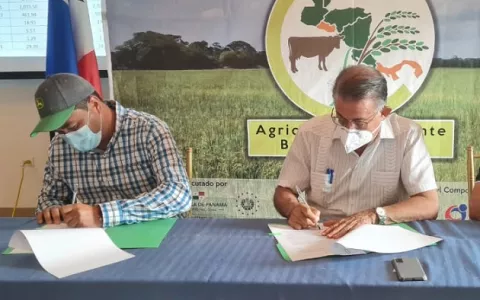 Mida y asociaciones de productores de arroz firman acuerdo para disminuir los gases de efecto invernadero