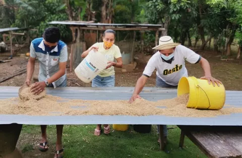 Mides y Patronato de Nutrición ponen en marcha la agricultura familiar para combatir la pobreza en Herrera