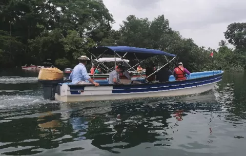 Se inicia la temporada de avistamiento de ballenas en Pedasí