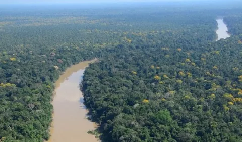 Los pueblos indígenas eran guardianes de la Amazonía occidental