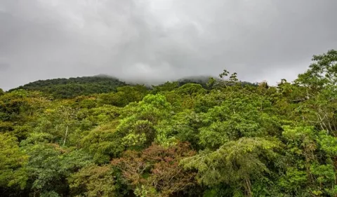 Reserva Hidrológica de Fortuna, el bosque más nublado de Centroamérica