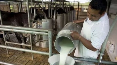 Sector lácteo lanza guía para evitar imitación de productos 