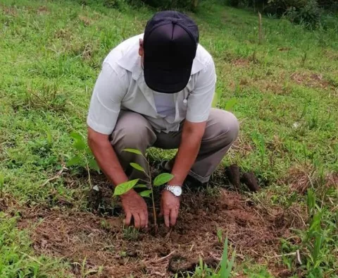 Siembran plantones en jornada de reforestación en Chagres, Costa Abajo de Colón